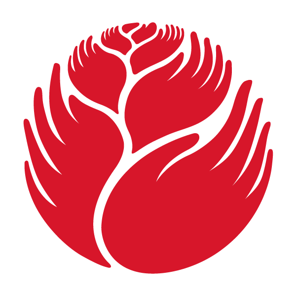 Jeff Kahn logo and brand design
